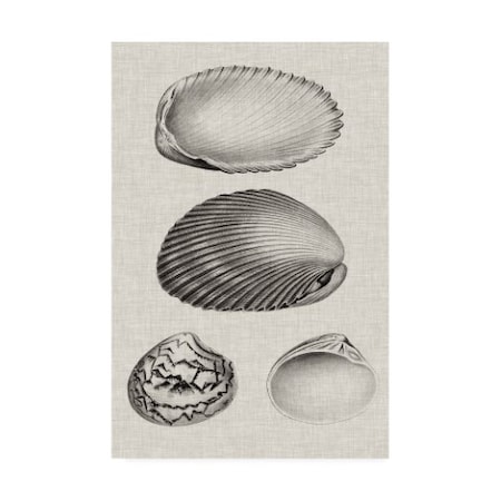 Vision Studio 'Charcoal & Linen Shells VIII' Canvas Art,30x47
